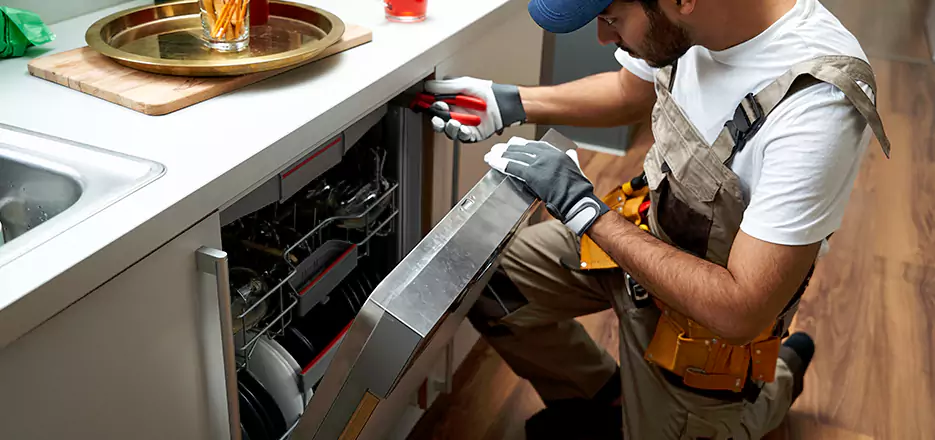 Same Day Dishwasher Not Draining Repair in Arlington