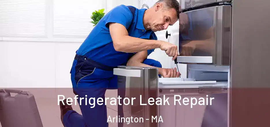 Refrigerator Leak Repair Arlington - MA