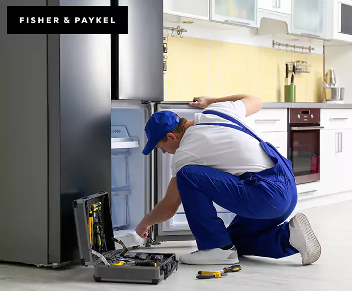 Top-Rated Fisher & Paykel Appliance Experts: Your Brand Specialist in Arlington, MA
